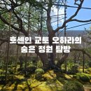 교토 오하라 호센인 숨은 정원 탐방 카페 쿠루므 레몬케이크