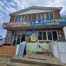 나선장 | 제주 우도 울트라잼 고양이선장 올레보트 내돈내산 후기★대추천★