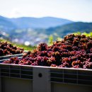 와인클래스 이미지