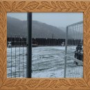 덕분에 행복하개 이미지