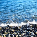 상주주유소 이미지