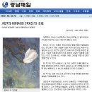 선갤러리 Daum카페