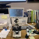 가야 주식회사 이미지