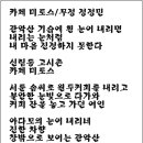 미토스 이미지