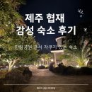 길리 리조트 | 제주 협재 근처 숙소 추천 감성 숙소 길리리조트 후기