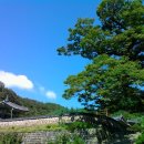 쌍류초등학교 이미지