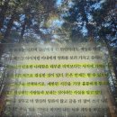 안녕하신지 | 타이탄의 도구들 책 후기 팀페리스 | 돈은 목적이 아니라 방패였다 추천 리뷰 핵심 요약