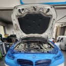 애니카랜드 논현점 | 시흥 정왕동 배곧 안산 논현 장현 장곡 수입차 외제차 정비 수리 전문 BMW F07 20D 엔진오일 누유...