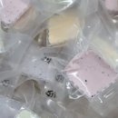 댕댕미식회 이미지