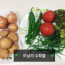 윤정 농장 이미지