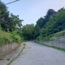 속초사잇길 제5길 이미지