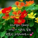 하늘보고 이미지