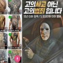 부동산 상식과 생활 법규 이미지