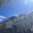 Aus+205~206일차 : Glebe Markets, SYD, 뉴타운, DFO홈부쉬, 영원히 마라꼬치(4)