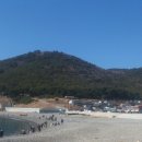 감지해변 Daum카페
