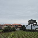 그여름애월바다 이미지