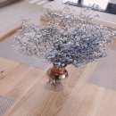 러블리 하우스 이미지