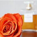 나를 위로하는 감정테라피 | [향기] 나를 위로하는 '향기 테라피' : 내 공간에 향기를 채우는 심리적 안정 루틴