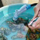 제주안안민박 이미지