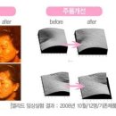 녹터널로즈