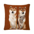 이오시스 이미지