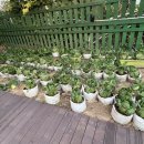 아이뜨리어린이집 이미지