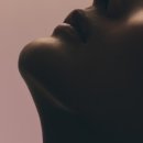 샤카이나