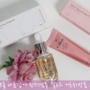 셀루즈 | 피부를 아름답게 탄력앰플 셀루즈 기초화장품 후기