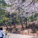 선암작은도서관 | 울산 선암호수공원 피크닉광장 애견동반 나들이