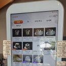 유달로 | 목포 시내가 보이는 뷰맛집 감성카페 '카페수무' 내돈내산 후기