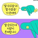 태화실업 | 바나나만 살기 좋은 계절