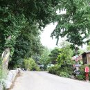 늘푸른숲 이미지