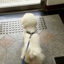 복받은펜션 이미지