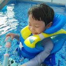 제주도키즈풀빌라빈스
