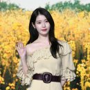 재무곡 이미지