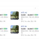 쉬어가조