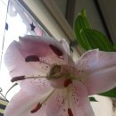 오늘한잔 이미지