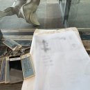 (주)장풍물류렌터카 | [11/15토~11/16일] 세종 비단가람 자전거투어 출장후기