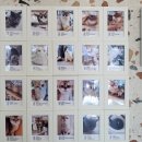 나와고양이 | [별내 고양이카페] 나만 없어 고양이 후기 (아이들과 가기좋은 카페) 내돈내산