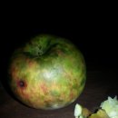 자유농장 이미지