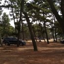 몽산포패밀리데이캠핑장 이미지