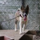 두환농장 이미지