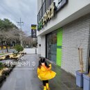 수목원소아치과치과의원 이미지