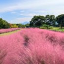 미사경정공원 이미지