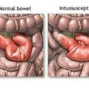 참사랑안마원 이미지