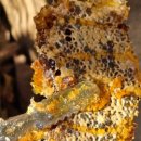 잡학다식 이미지