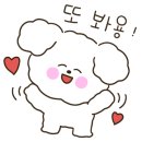 대구애견스쿨 이미지