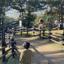 인규목장 이미지