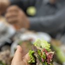 가야정육점 | [백제정육점방문후기]고기와 육회를 동시에 즐기고 싶다면,