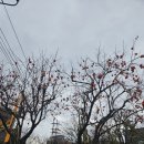 구일 | [육아 정보](고척/구일역)서울아트책보고 이용 후기